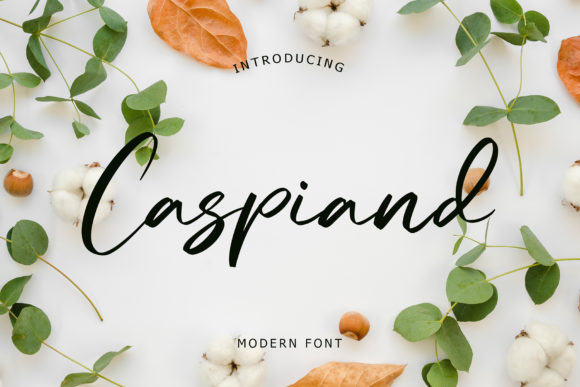 Caspiand Script Font Review for Real Projects