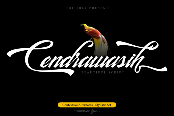 Cendrawasih Font for Modern Web Design