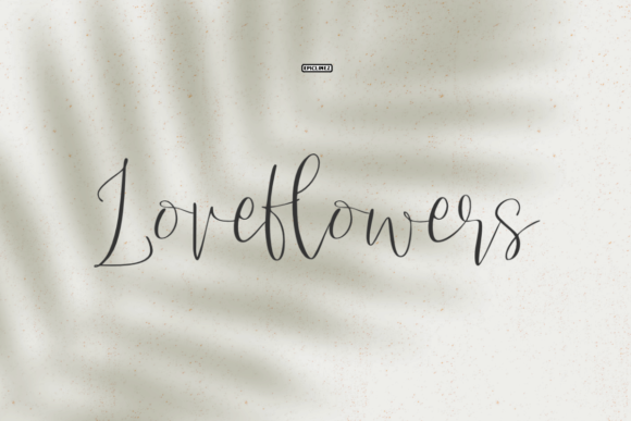 Love Flowers Script Font Review