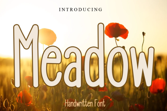 Meadow Script Font Review for Real Projects