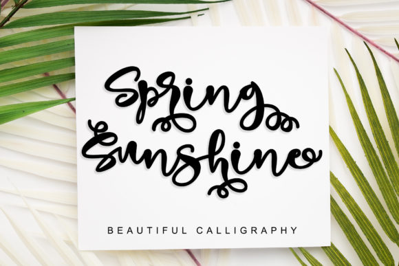 Spring Sunshine Font for Campaign Creativity