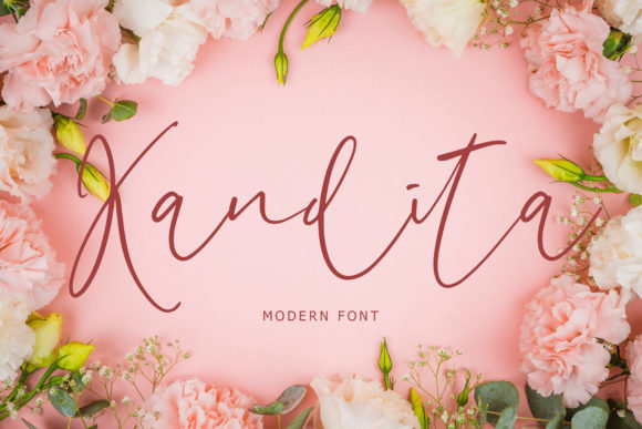 Testing Kandita for a Modern Web Design Project