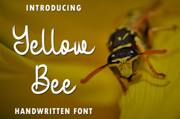 Yellow Bee: A Whimsical Font for Branding That Feels Personal